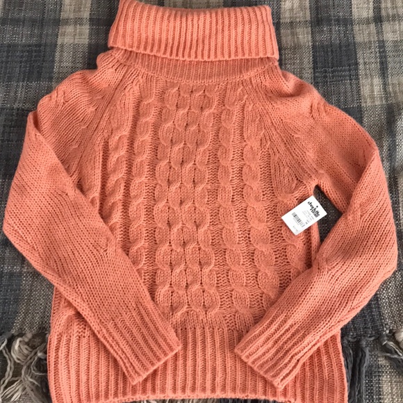 Charlotte Russe Sweaters - Charlotte Russe Turtle Neck Sweater